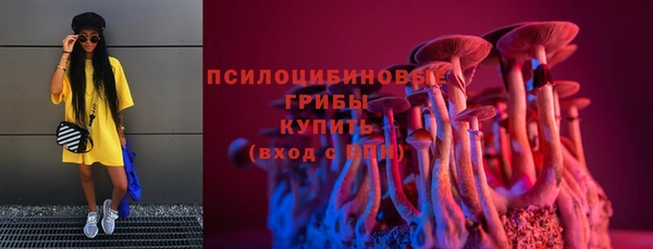 спайс Аркадак