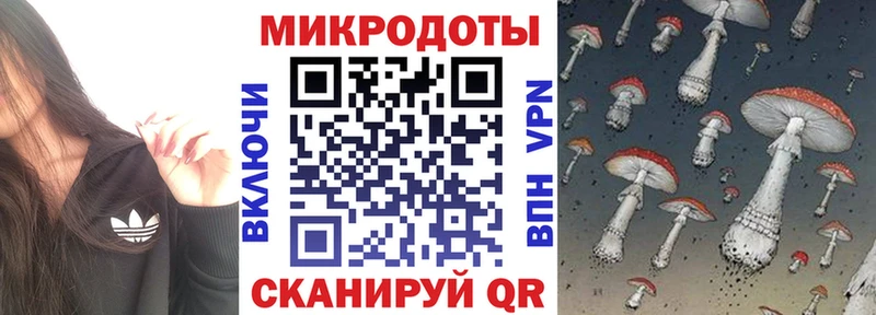 Псилоцибиновые грибы Magic Shrooms блэк спрут маркетплейс Сельцо